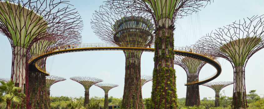 Gardens by the Bay Singapore